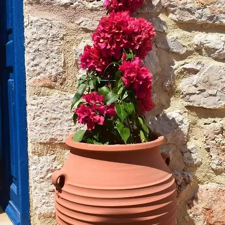 Marina Castellana Chalki Town