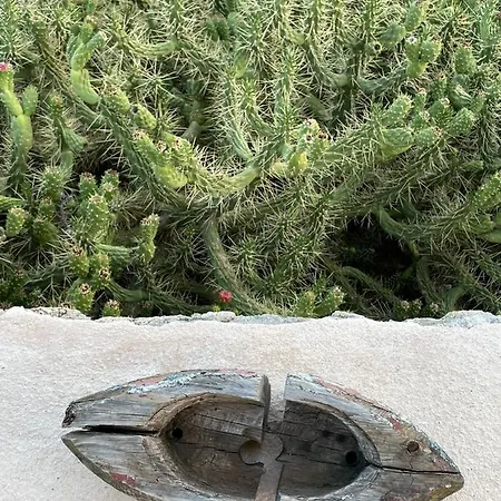 Marina Castellana Tatil Evi Chalki Town