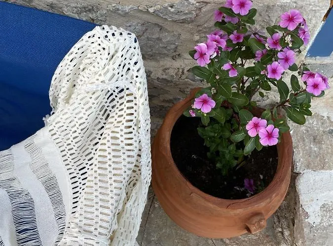 Marina Castellana * Chalki Town