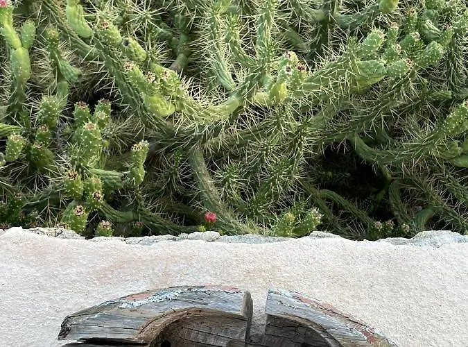 Marina Castellana Casa de Férias Chalki Town