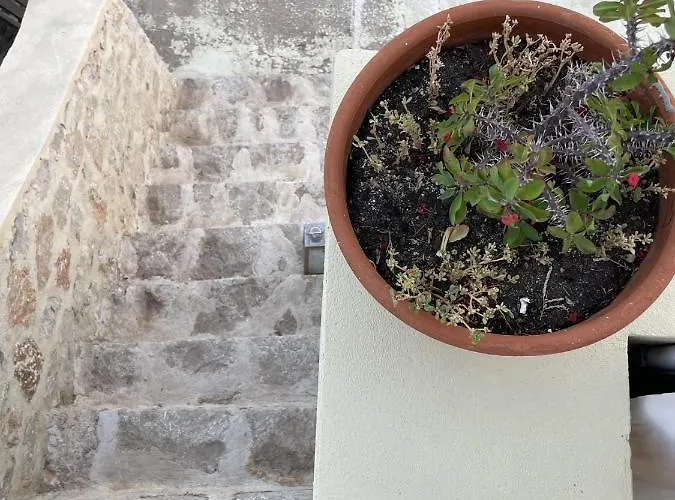 Marina Castellana Casa de Férias *